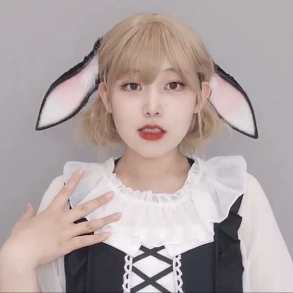 Anime Bunny Ears Dropped Ear R - огляд і ціна Anime Cosplay Girl Photo